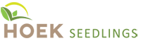 Hoek Seedlings Logo